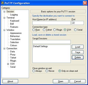 Putty